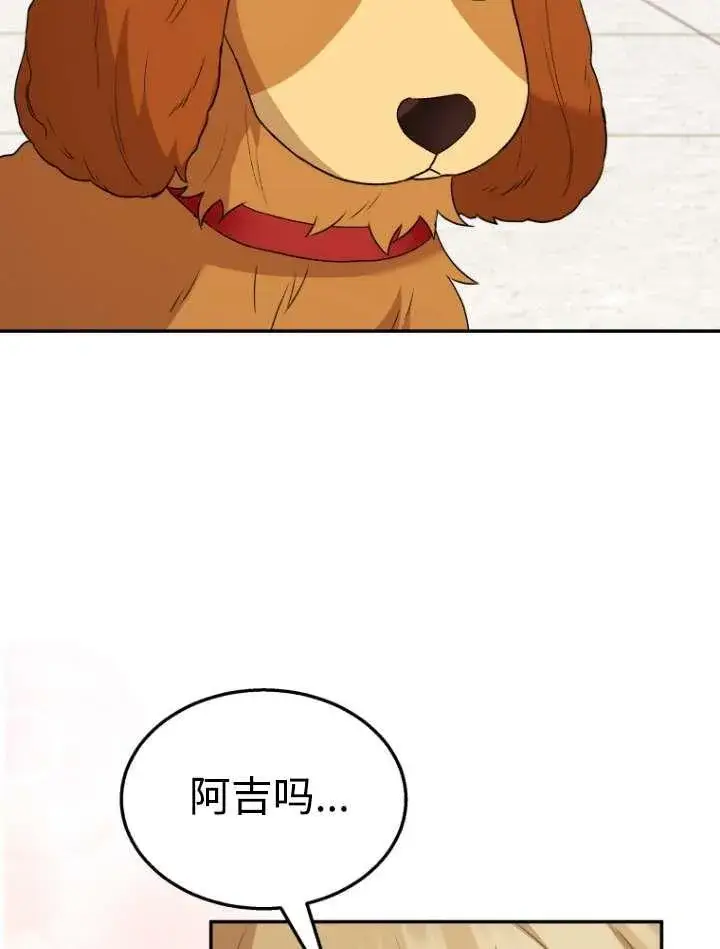 《兽医先生！你好？》第42话图56