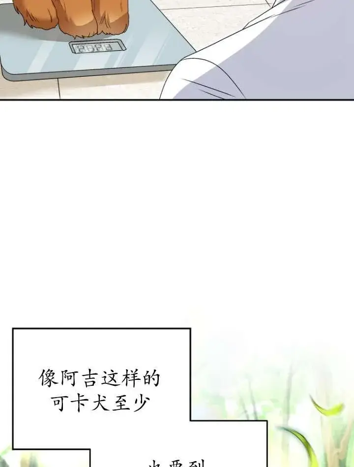 《兽医先生！你好？》第42话图79