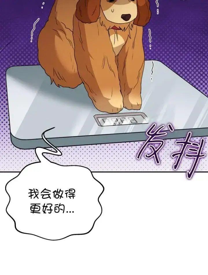 《兽医先生！你好？》第42话图88