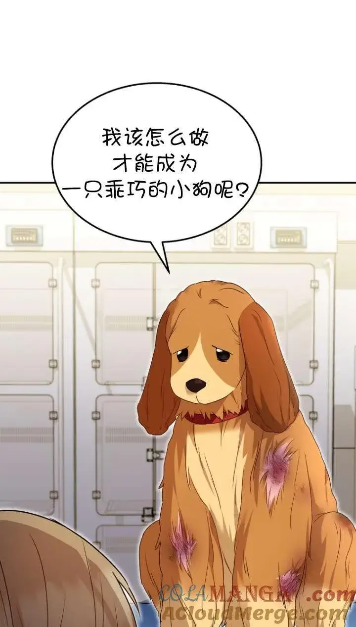 《兽医先生！你好？》第43话图33