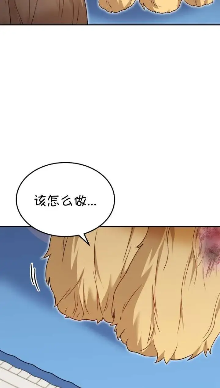 《兽医先生！你好？》第43话图34