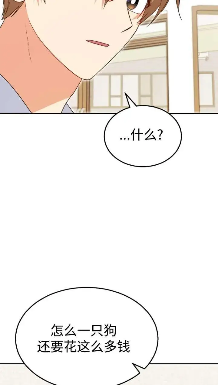 《兽医先生！你好？》第43话图51