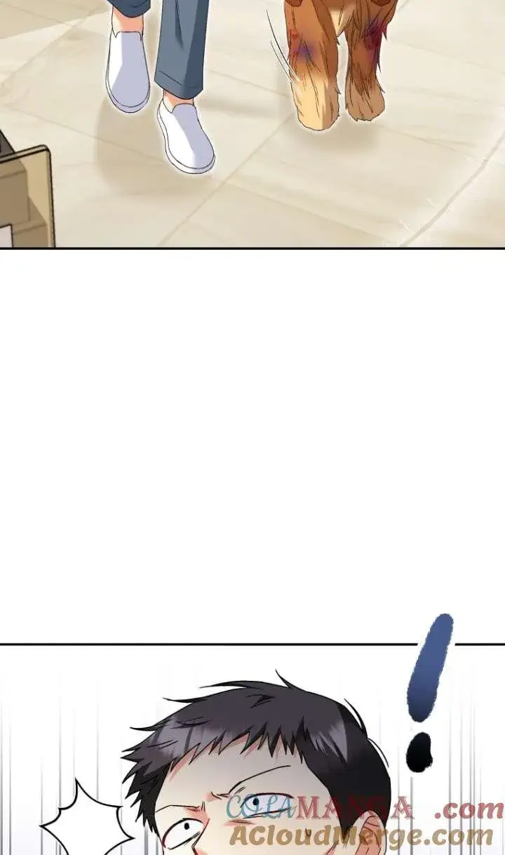 《兽医先生！你好？》第44话图52