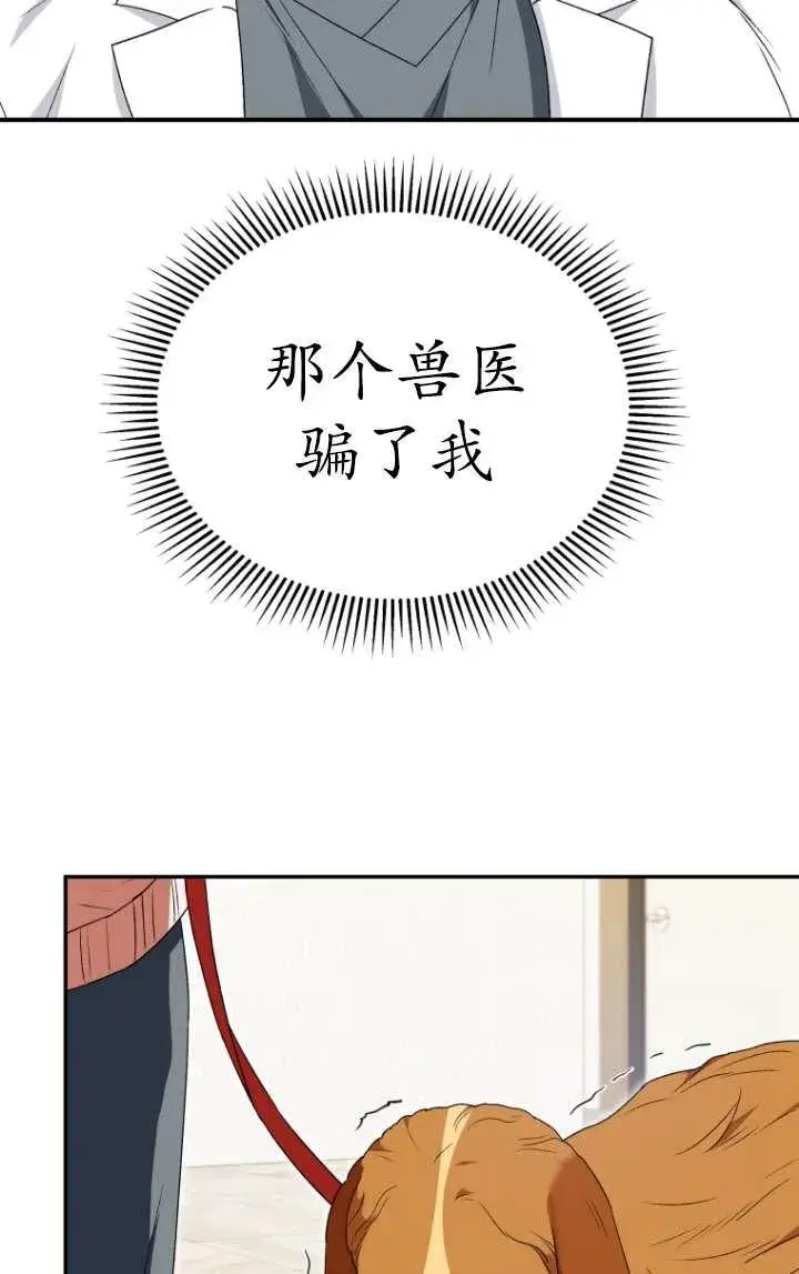 漫画《兽医先生！你好？》第45话第3张图