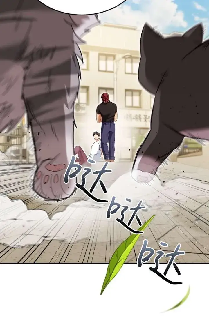 漫画《兽医先生！你好？》第45话第50张图