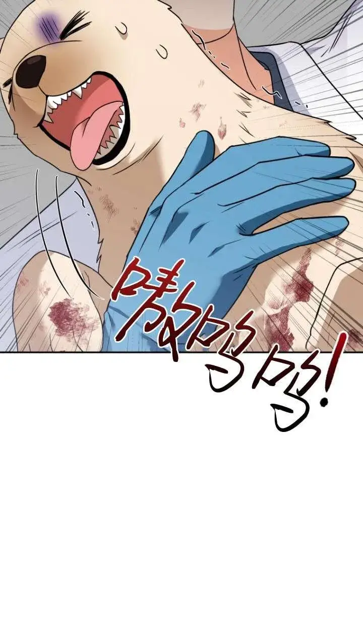 漫画《兽医先生！你好？》第46话第59张图