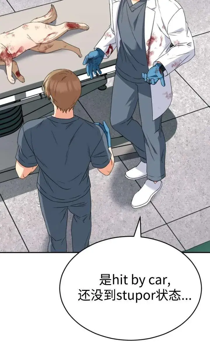 漫画《兽医先生！你好？》第46话第77张图