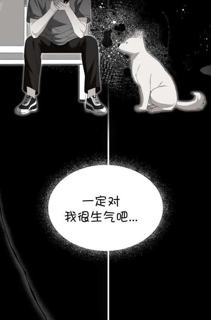 漫画《兽医先生！你好？》第47话第22张图