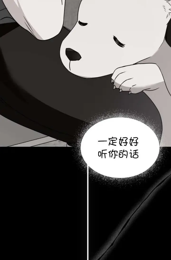 漫画《兽医先生！你好？》第47话第25张图