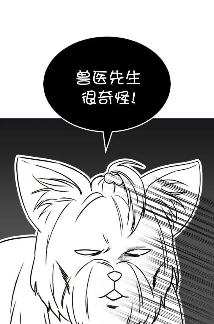 漫画《兽医先生！你好？》第47话第64张图
