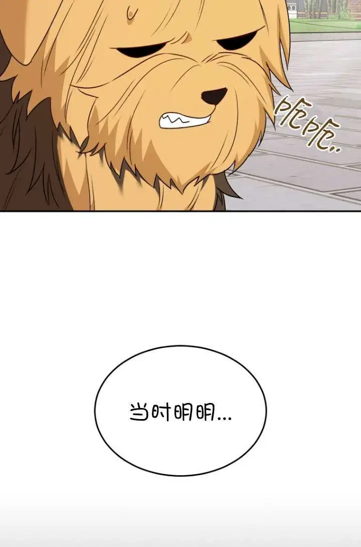 漫画《兽医先生！你好？》第47话第69张图