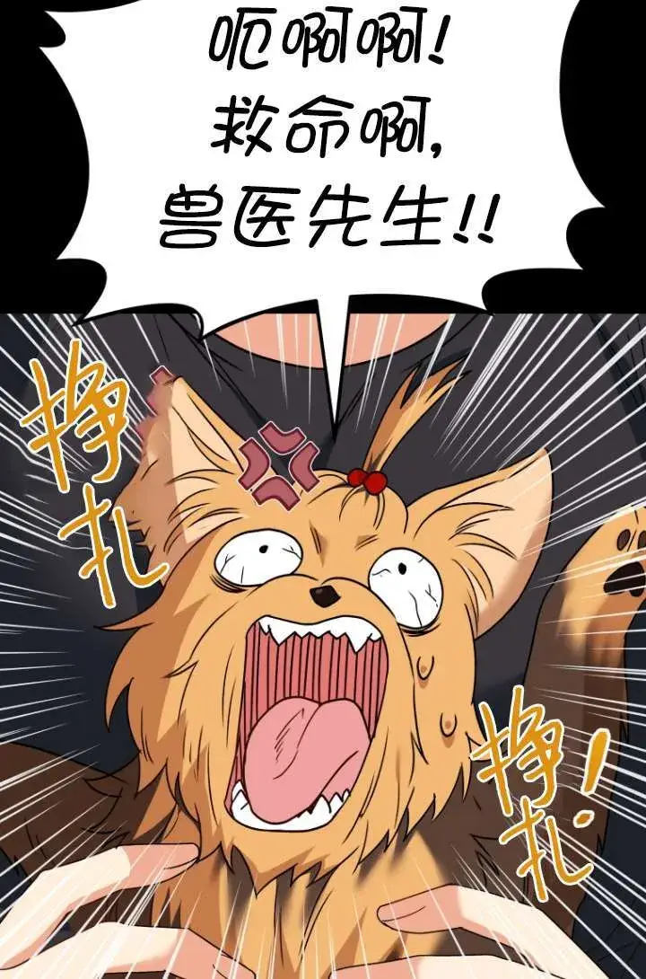 漫画《兽医先生！你好？》第47话第71张图