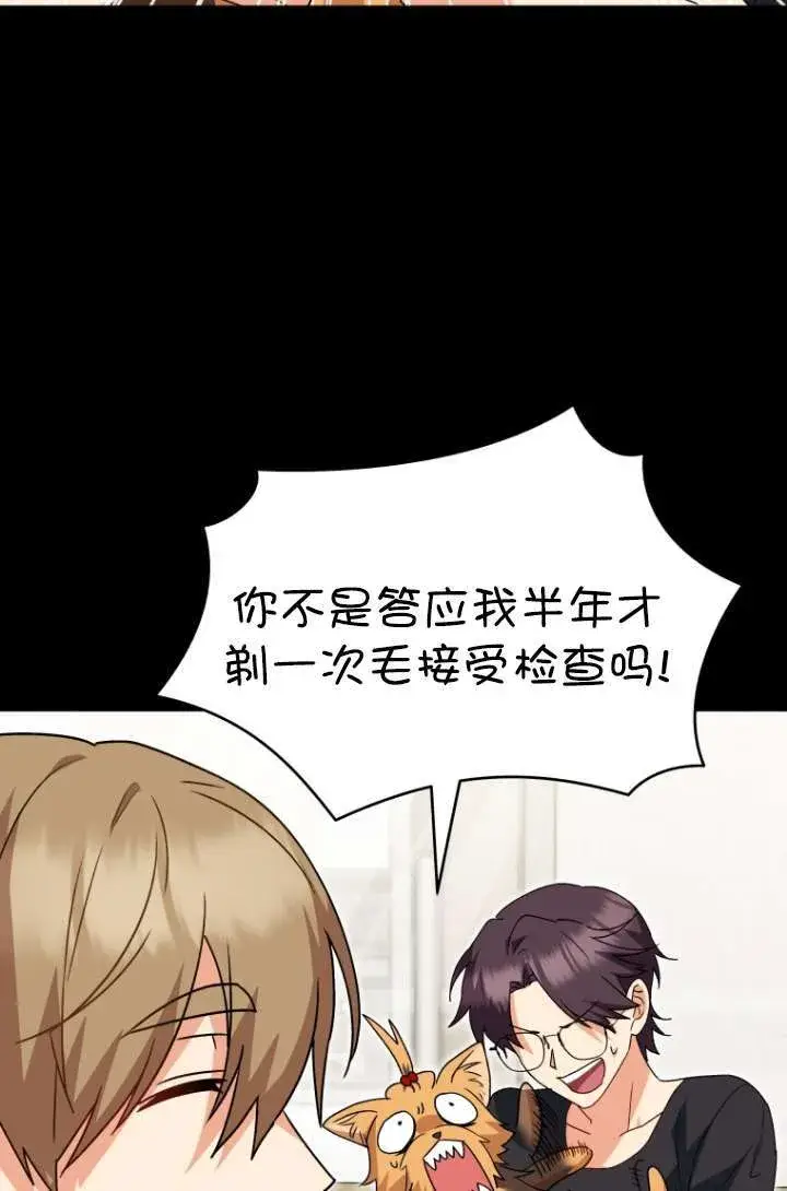 漫画《兽医先生！你好？》第47话第72张图
