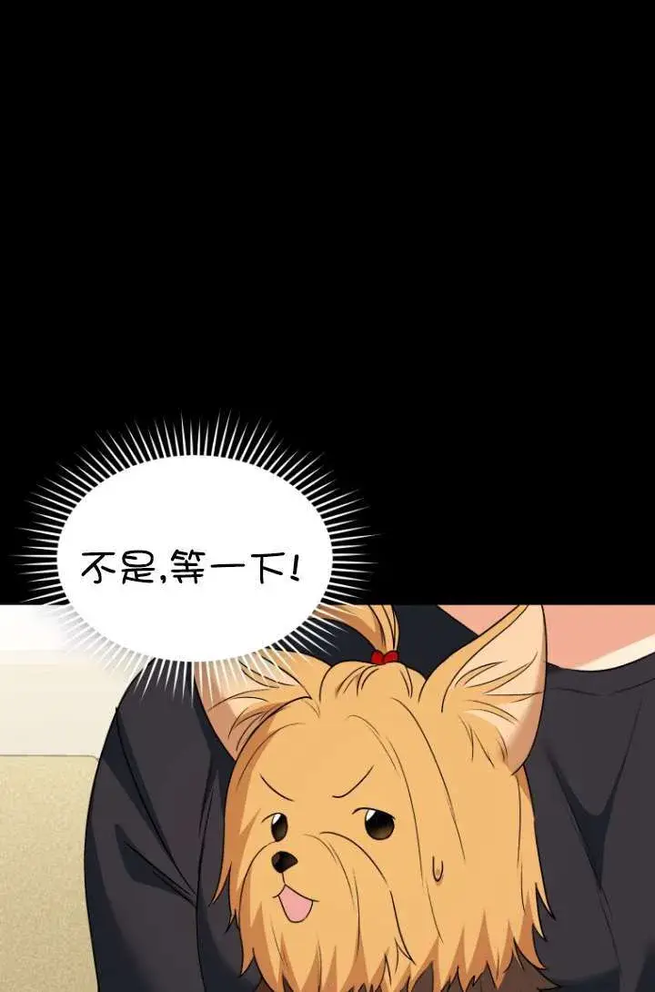 漫画《兽医先生！你好？》第47话第78张图