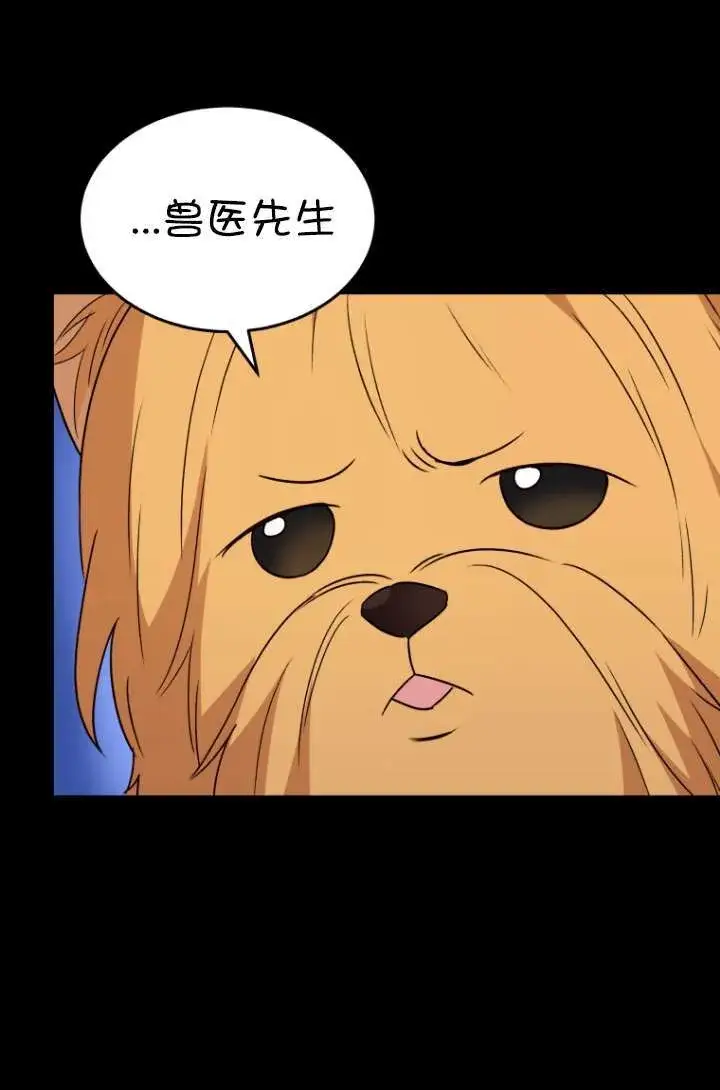 漫画《兽医先生！你好？》第47话第84张图