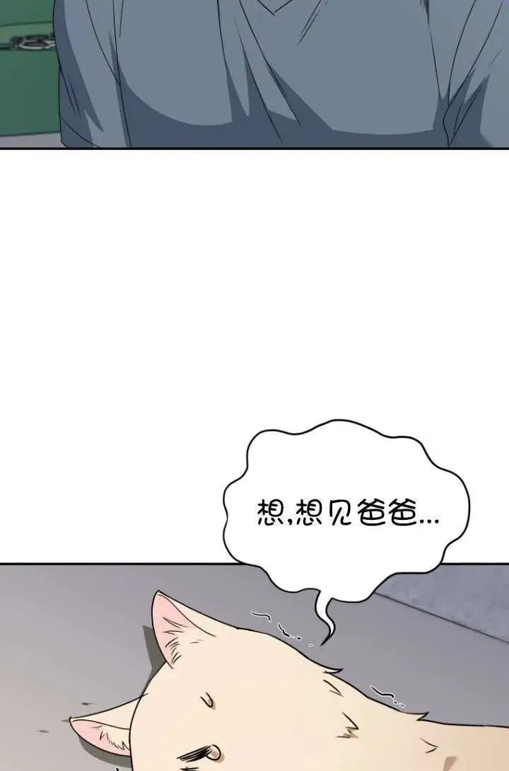 漫画《兽医先生！你好？》第47话第9张图