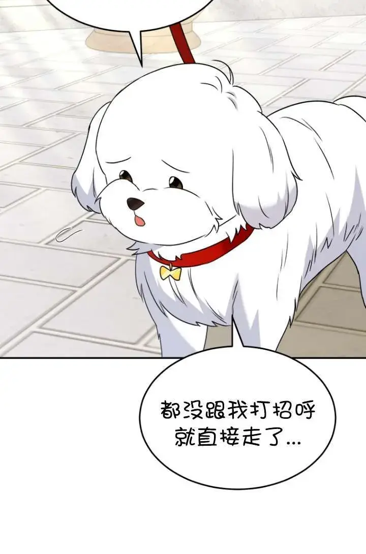 漫画《兽医先生！你好？》第47话第95张图