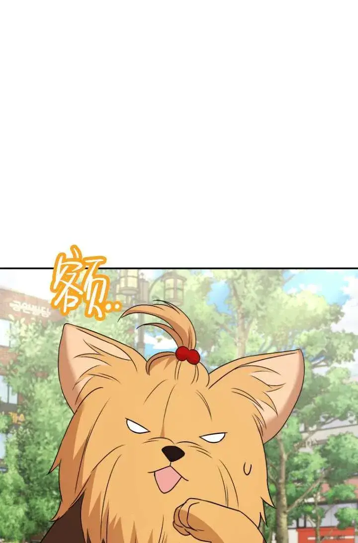 漫画《兽医先生！你好？》第47话第97张图