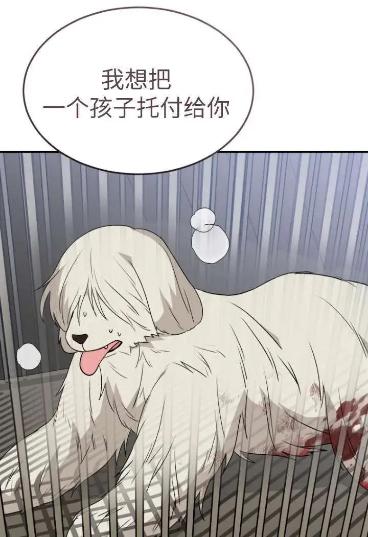 漫画《兽医先生！你好？》第48话第23张图
