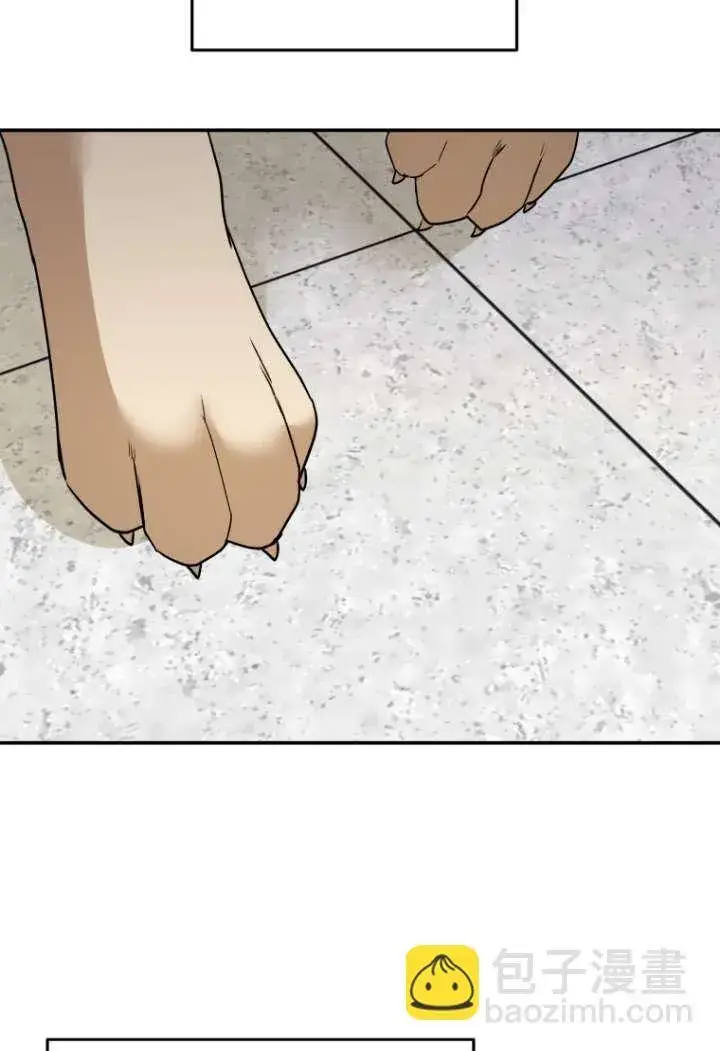 漫画《兽医先生！你好？》第48话第68张图