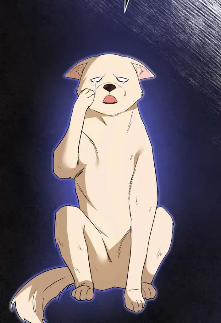 漫画《兽医先生！你好？》第48话第71张图