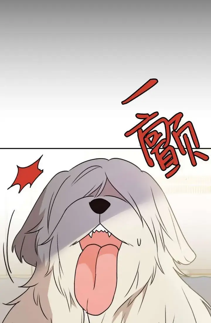 《兽医先生！你好？》第49话图17