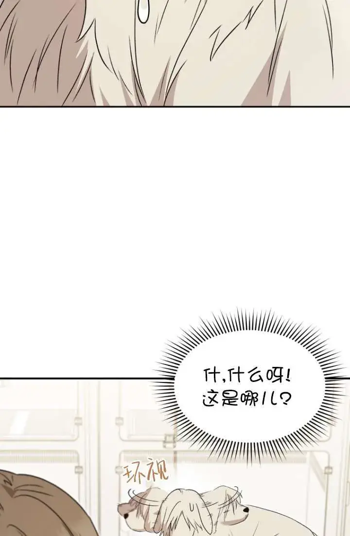 《兽医先生！你好？》第49话图18