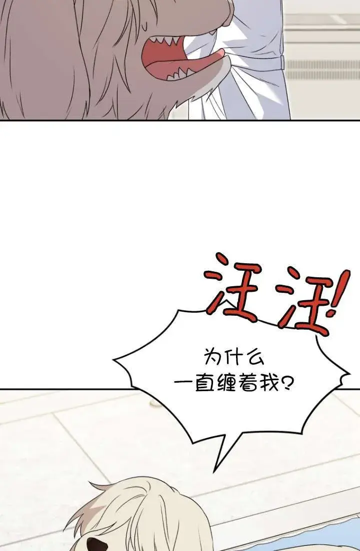 《兽医先生！你好？》第49话图26