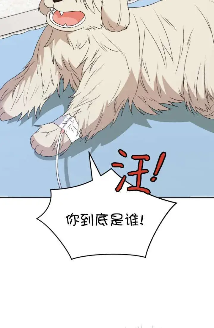 《兽医先生！你好？》第49话图27