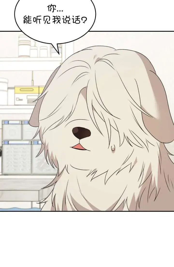 《兽医先生！你好？》第49话图42