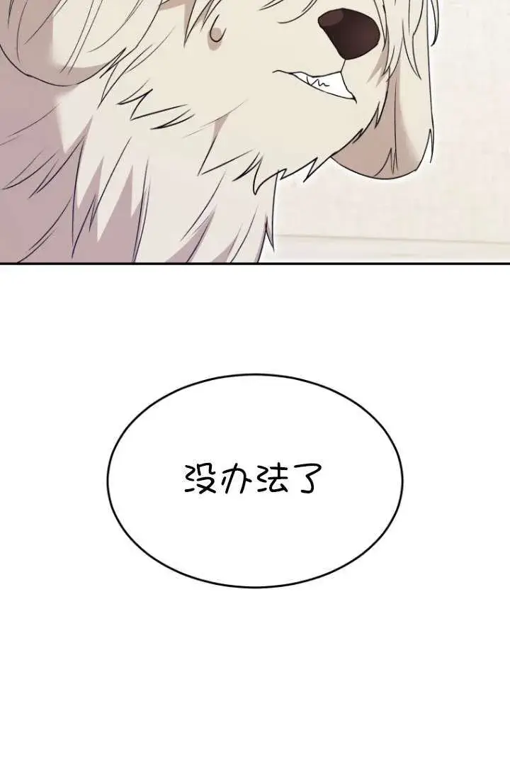 《兽医先生！你好？》第49话图56