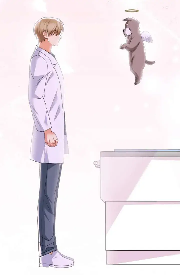 《兽医先生！你好？》第49话图58