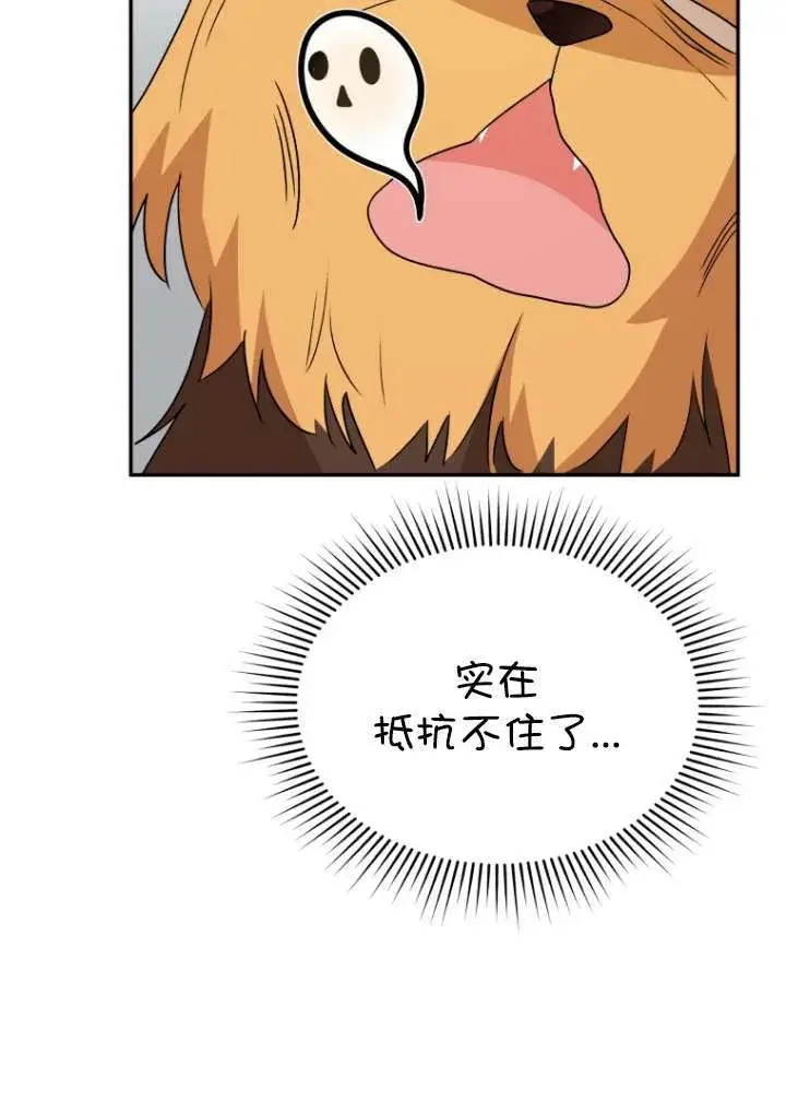 漫画《兽医先生！你好？》第50话第4张图