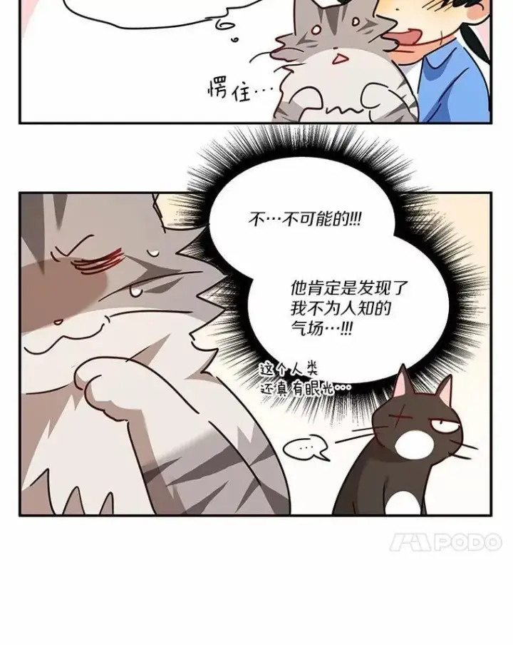 漫画《兽医先生！你好？》51.我们的新家第145张图