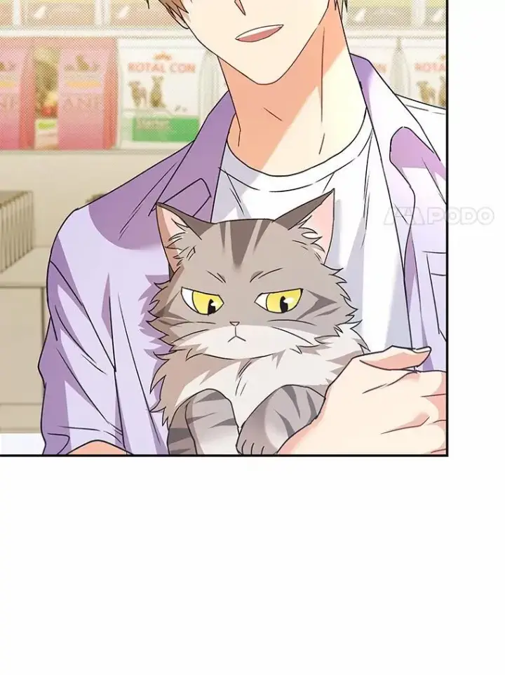漫画《兽医先生！你好？》51.我们的新家第33张图