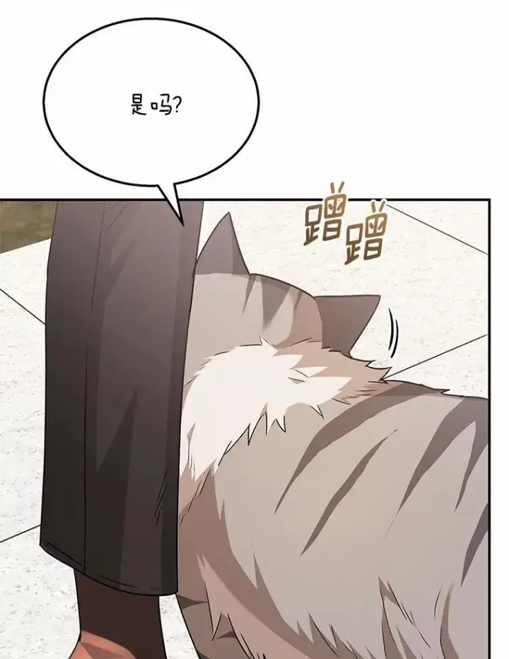 漫画《兽医先生！你好？》51.我们的新家第67张图