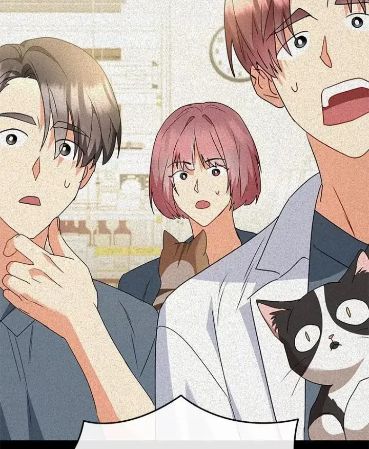 漫画《兽医先生！你好？》51.我们的新家第99张图