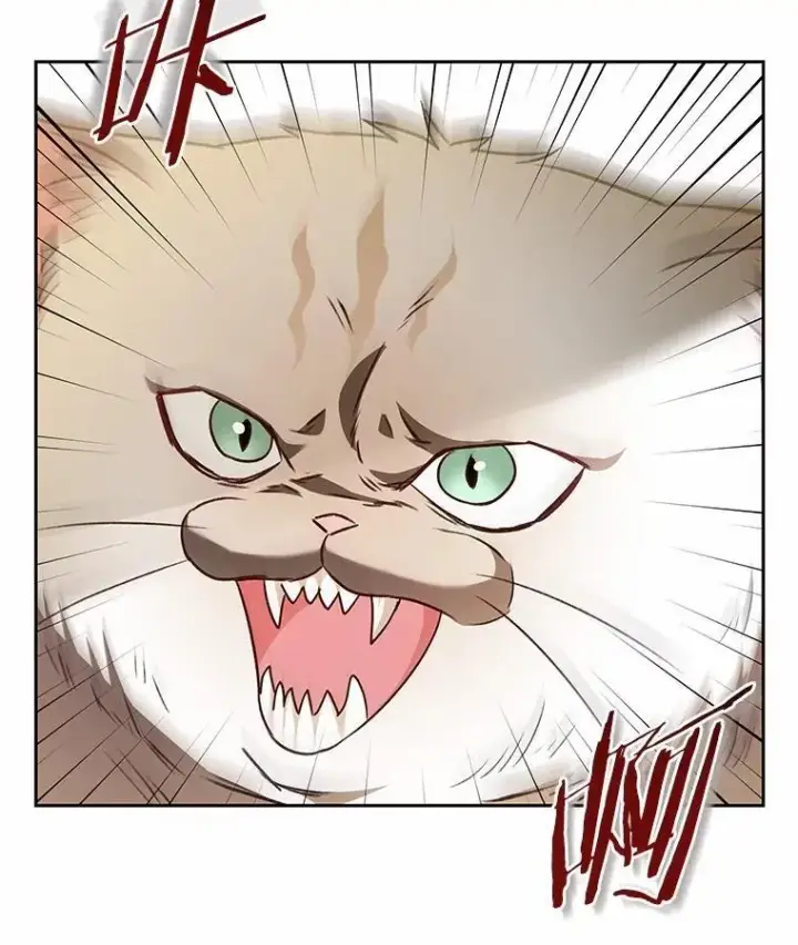 漫画《兽医先生！你好？》52.斯巴达特训第110张图