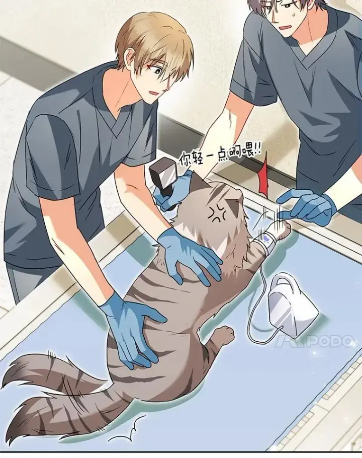 漫画《兽医先生！你好？》52.斯巴达特训第32张图