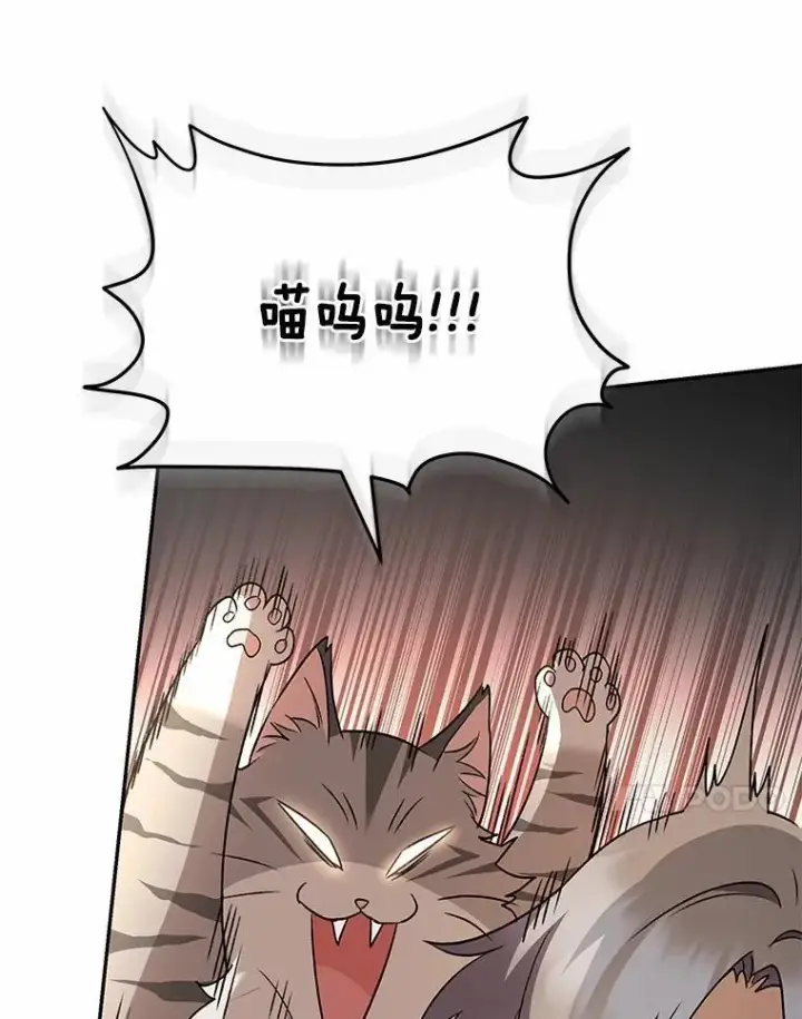 漫画《兽医先生！你好？》52.斯巴达特训第49张图