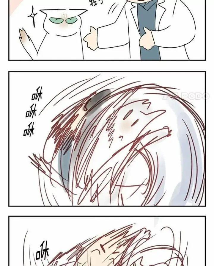 漫画《兽医先生！你好？》53.才不是胆小鬼第121张图