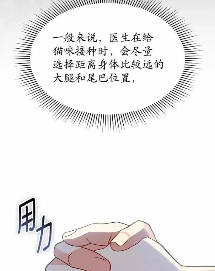 漫画《兽医先生！你好？》53.才不是胆小鬼第13张图