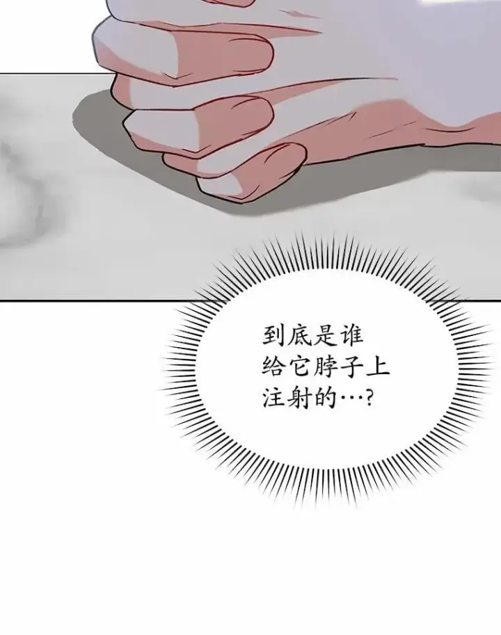 漫画《兽医先生！你好？》53.才不是胆小鬼第14张图