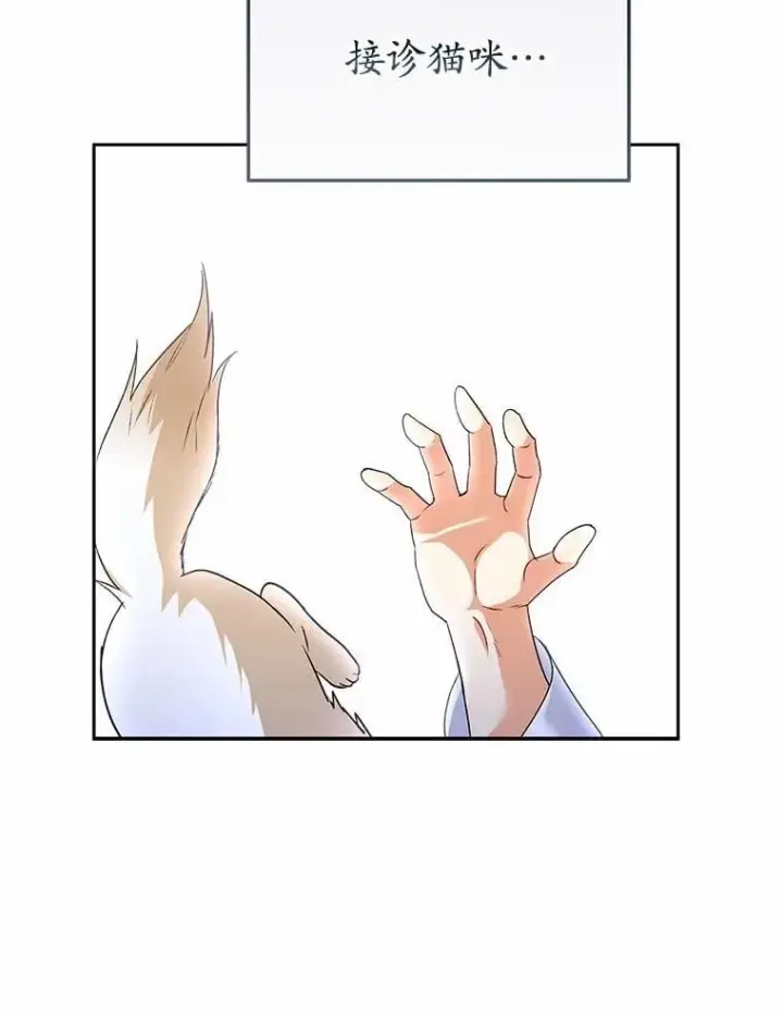 漫画《兽医先生！你好？》53.才不是胆小鬼第34张图