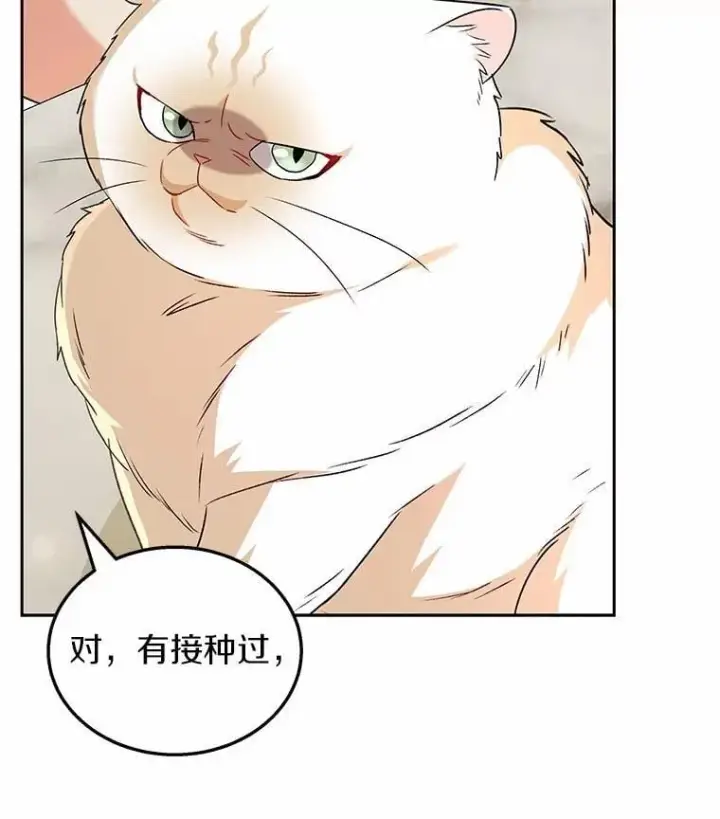 漫画《兽医先生！你好？》53.才不是胆小鬼第6张图