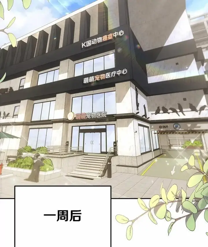 漫画《兽医先生！你好？》53.才不是胆小鬼第85张图