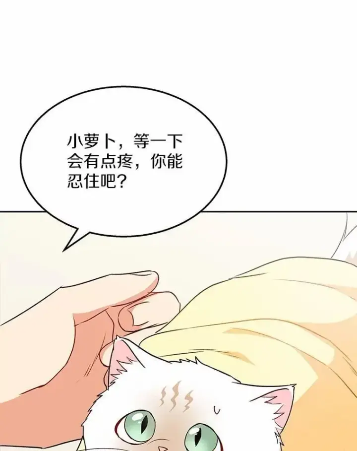 漫画《兽医先生！你好？》54.我的第一位患者第122张图