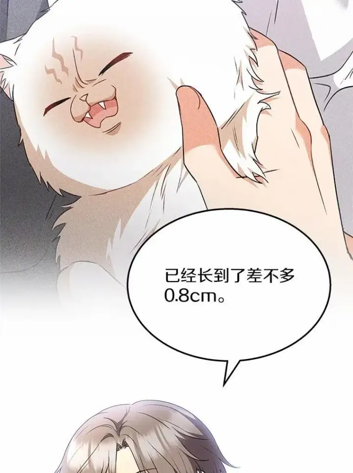 漫画《兽医先生！你好？》54.我的第一位患者第55张图