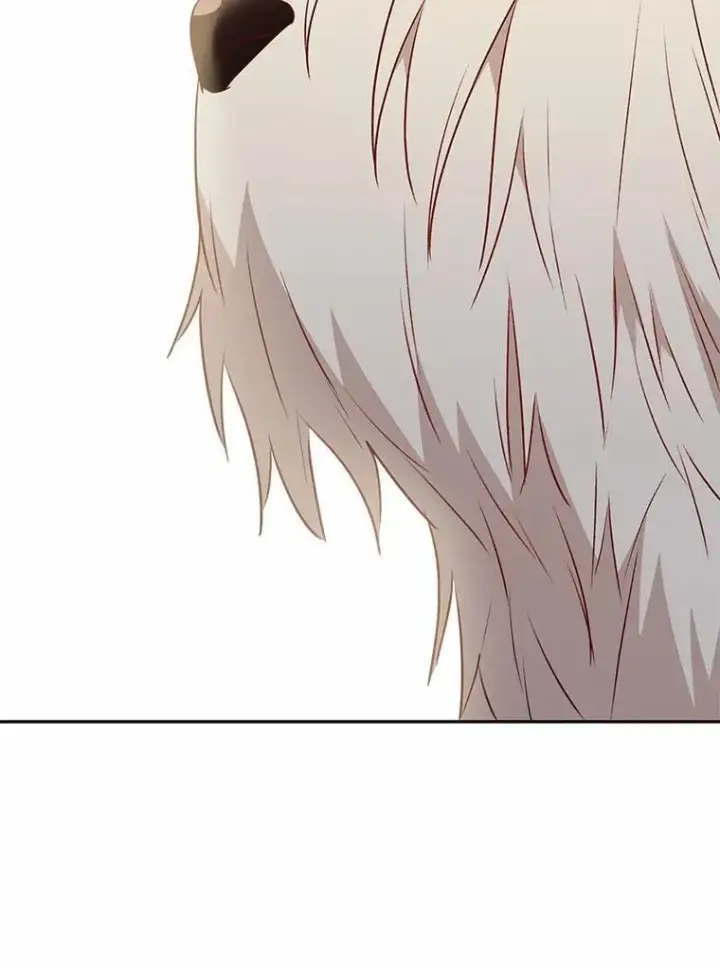 漫画《兽医先生！你好？》55.以后也请多指教第108张图