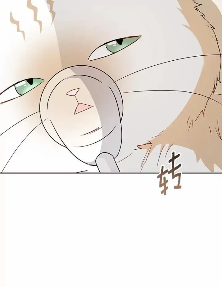 漫画《兽医先生！你好？》55.以后也请多指教第3张图